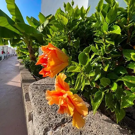 Apartamento Malibu Park Luna *